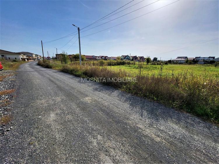 677mp  - Teren Mosnita - Cartier Europa, in apropiere de Lidl - 7