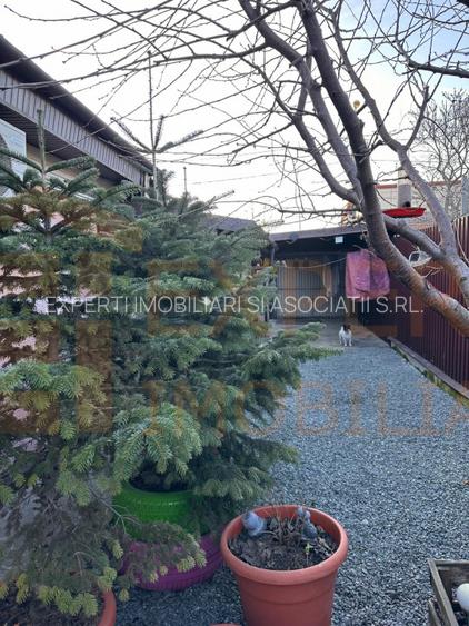 Casa 3 camere de vanzare zona Palas – 92 mp utili, teren 200 mp - 14