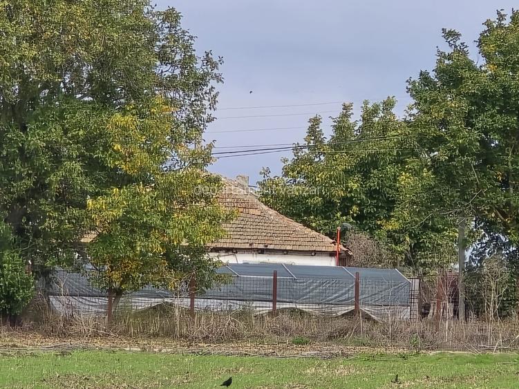 Amzacea- sat G. Scarisoreanu -Ferma zootehnica , 5,1 hectare - 3