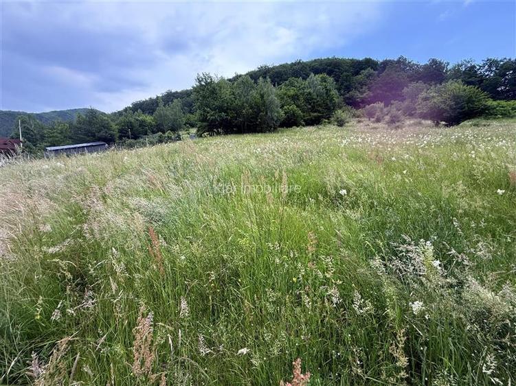 Comision 0%teren Somesu Rece zona Cabana Bradet - 4