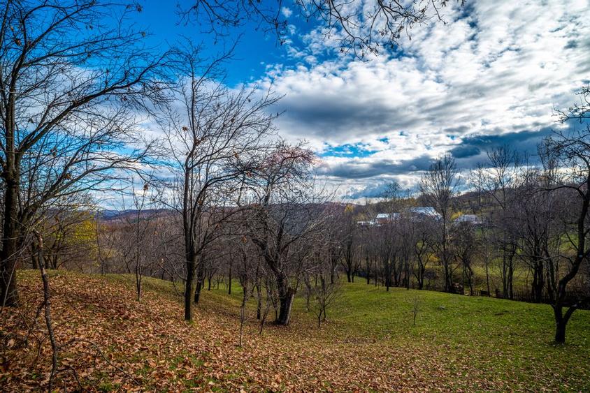 Teren intravilan 4384 mp – Comuna Talea,  județul Prahova - 10