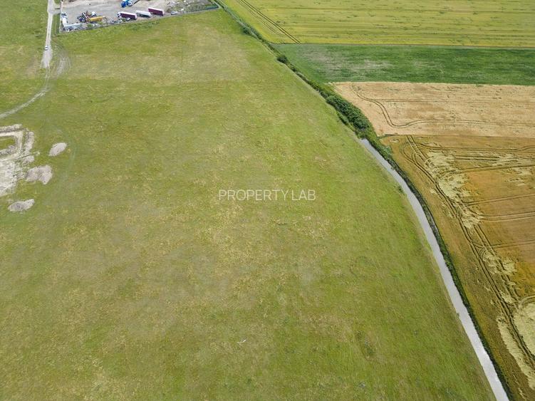 Teren intravilan de 29,970mp Sacalaz - 13