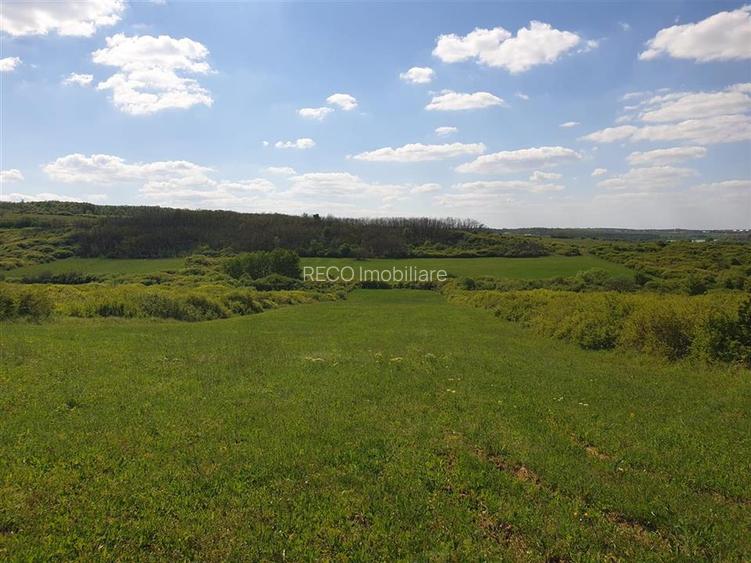 Teren extravilan Uileacu de Munte. - 2