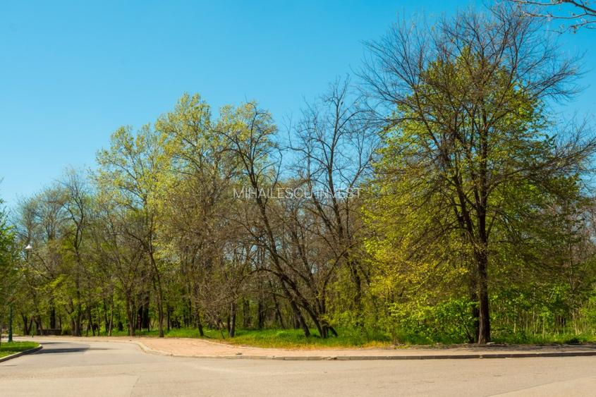 Vila visurilor tale există!Descoperă oaza de liniste în complexul Green City - 33