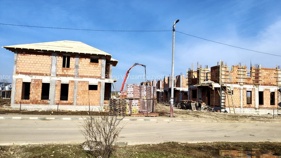 Vile individuale padurea Rosu - 7