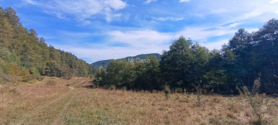 teren in zona Bradet-Sacele - 9