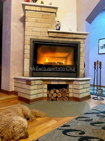 Casa de vacanta-pensiune - 3