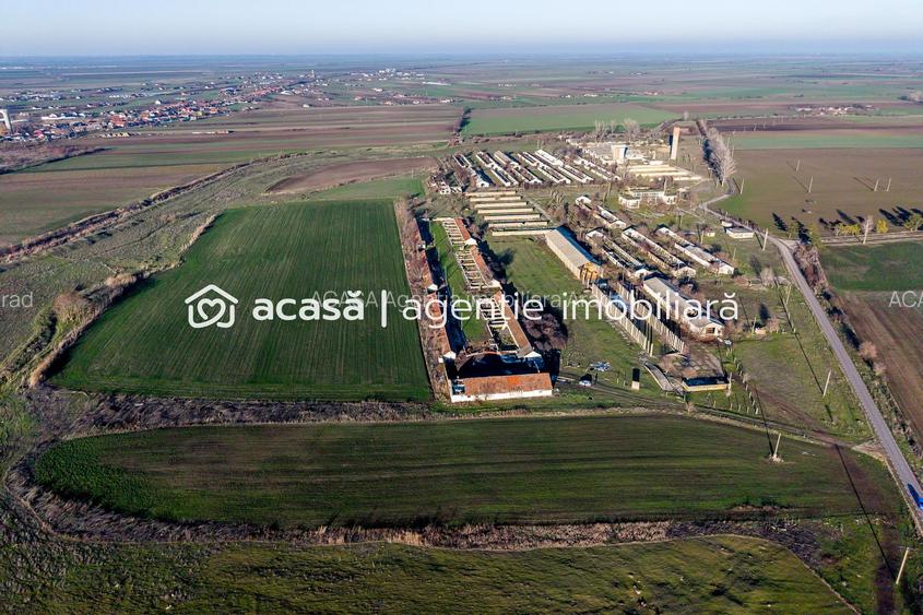 Teren 1.15 HA lângă Autostrada – Nădlac | clădiri+utilități - 3