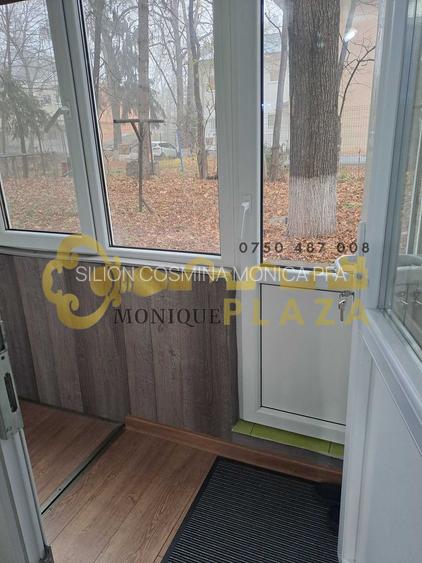 3 Camere | Zona ultracentrala | Parter | Beci | 2 intrari | Mobilat | - 5