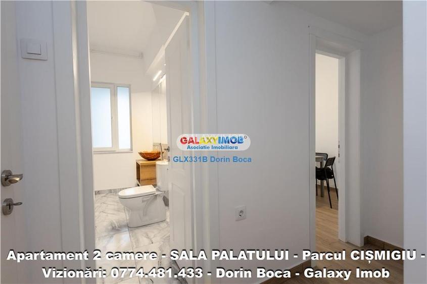 Airbnb 2 camere  SALA PALATULUI (Str Poiana Narciselor) CENTRALA - 18