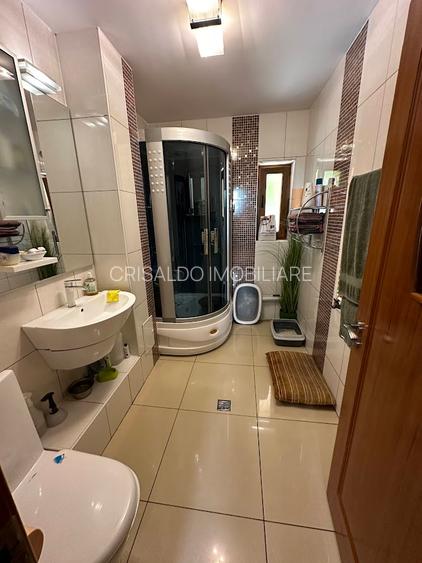 Proprietate deosebila in vecinatatea Padurii Baneasa - 45