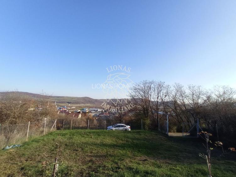 Teren intravilan 2700 mp-ideal case/investitie-Viisoara - 3