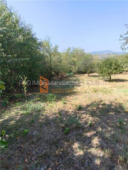 Casa tip parter zona Lunca Frumoasa, Parscov - 27