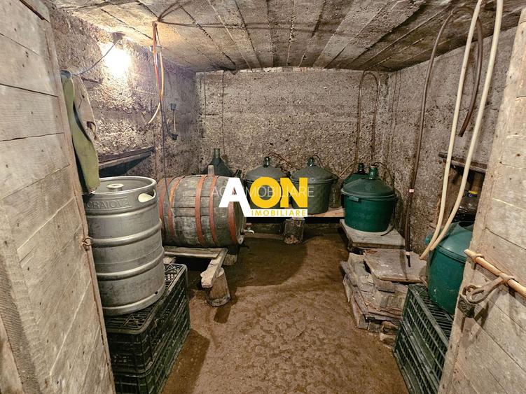 Casă batranească, 3 camere, 2200 mp teren, sat Bucerdea Grânoasă - 16