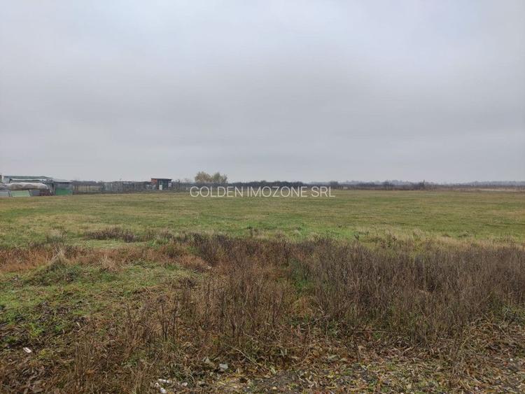 Teren 4588 mp, Remetea Mare Comision 0% - 3