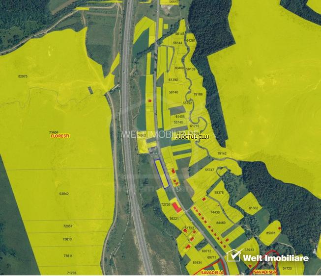 Teren de constructii 3340 mp, front 130 m, spre Savadisla - 4