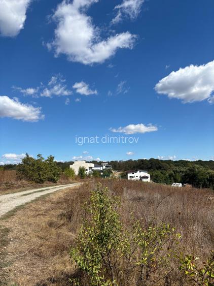 Teren Moara Vlasiei lac toate utilitatile - 4