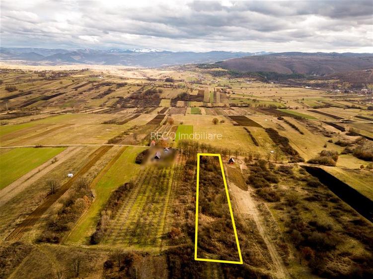RECO Teren intravilan  Zona Vadu Crisului Bihor - 3