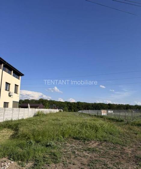 Vanzare Teren Construibil 1200mp Branesti - 3