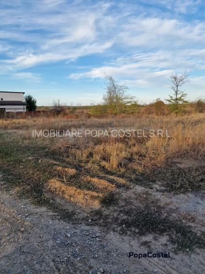 OCAZIE! Balotesti - Narciselor teren intravilan 427 mp desch. 20 m, utilitati - 2
