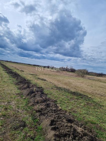 Teren in Amati - 3