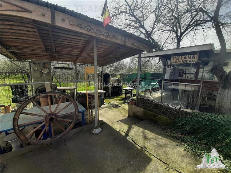 Casa cu livada/teren 1200 mp - 19