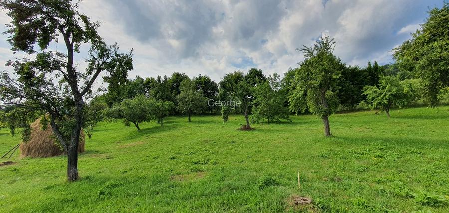 Teren intravilan 1.000 mp | Deschidere 27 m | Poienărei – Corbi, Arges - 4