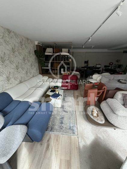 Spatiu comercial cu vitrina Zorilor - 3