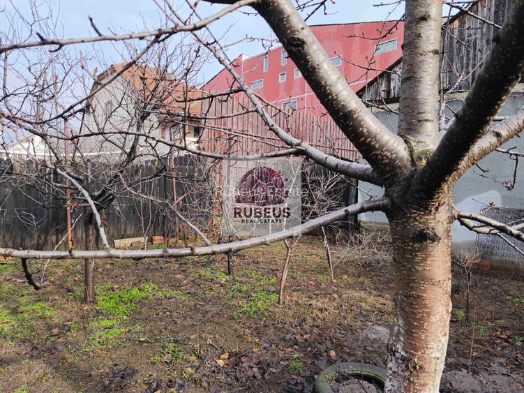 Casa cu personalitate in Calomfirescu – spatiu, liniste si teren gener - 117