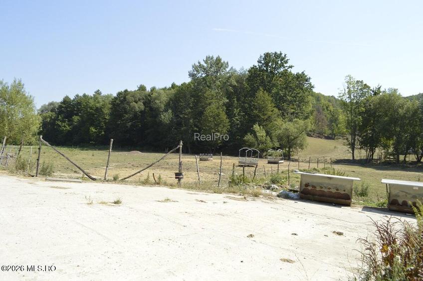 Bogati - Glimbocel, Ferma Zootehnica, Cladiri 1996 mp, Teren 4.89 ha - 28