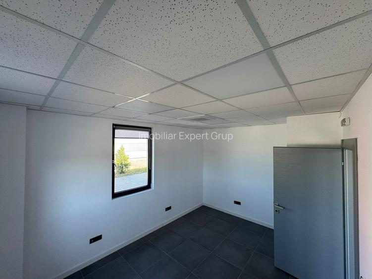 Spatiu 600 mp depozitare si productie, logistic ,Chitila - Rudeni - 9