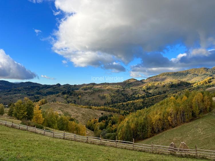 Teren intravilan (18066 mp) si extravilan (4566 mp) in sat Pestera, com Moieciu - 10