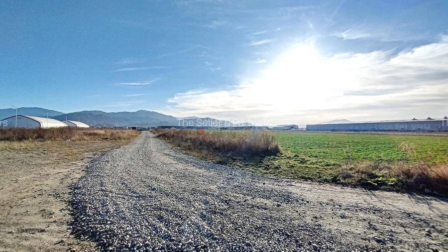 Teren Industrial - 8