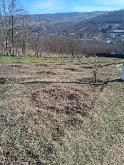 Vând teren intravilan  - 6