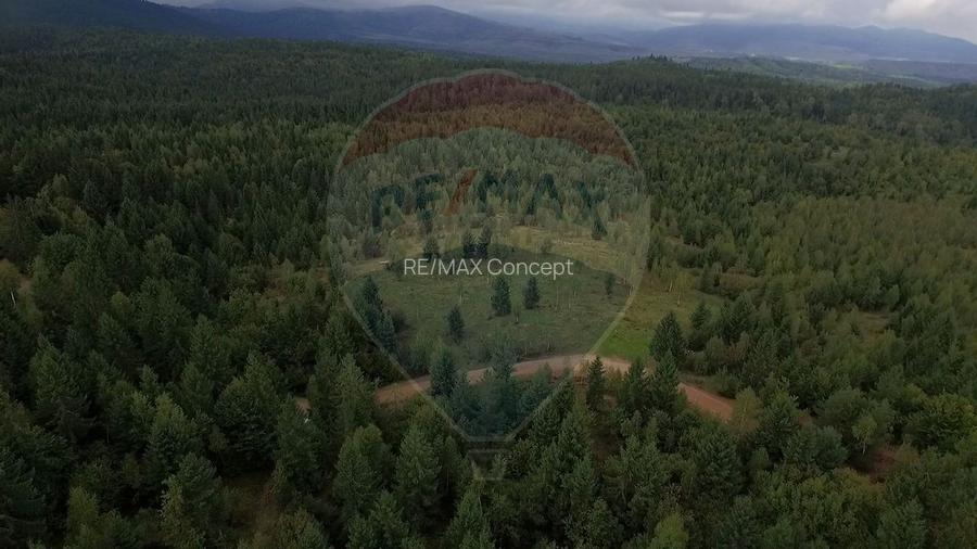 Teren extravilan parcelabil Călățele Pădure, zona Dealu Negru - 15