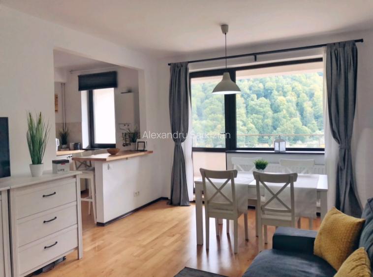 Apartamemt 2 camere cu vedere - 2
