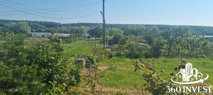 Casă de vânzare - Delta dunării Mahmudia - 5