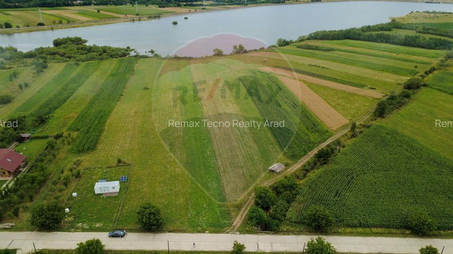 Teren superb Unciuc / jud.Hunedoara - 8