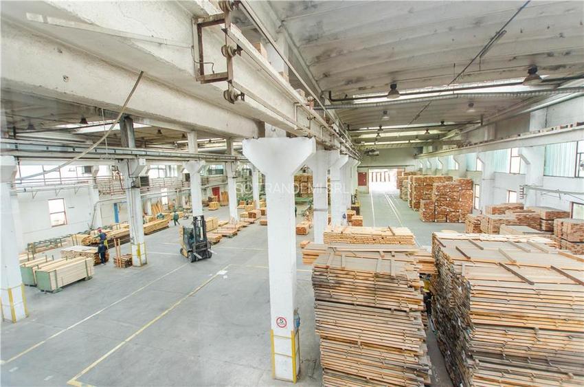 Complex industrial in Miercurea Sibiului, hale si 3,1 ha teren intravilan - 16