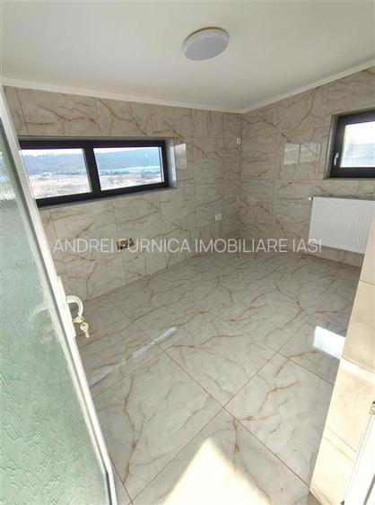 Ocazie Spatiu comercial Lunca Cetatuii - langa Centura - 9