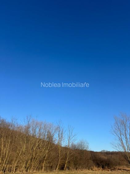 Oază de liniște cu vedere la munți – 2.600 mp lângă Aeroportul Sibiu (Cristian) - 6