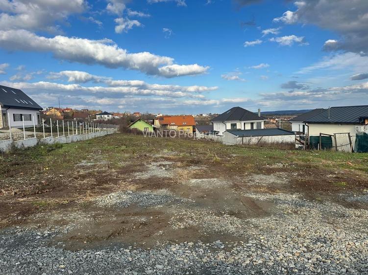 TEREN INTRAVILAN PREMIUM 2.000 MP LA DRUM JUDETEAN | DAIA - 2