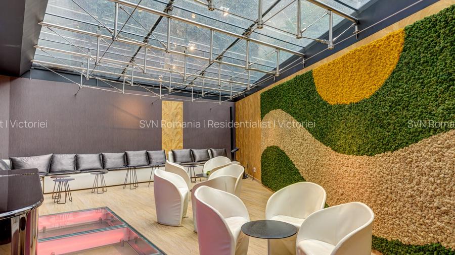 REV2001139 Proprietate deosebita Dorobanti Capitale - 9