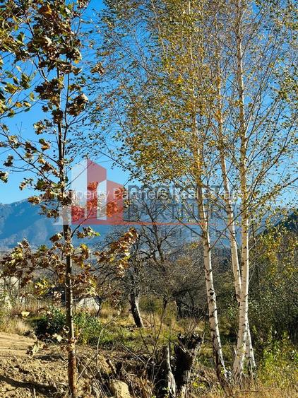 Teren Bran / Predelut cu priveliste 1840mp - 10