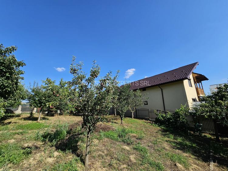 Vila superba de vanzare in Vintila Voda, Buzau D+P+1 si anexe - 44