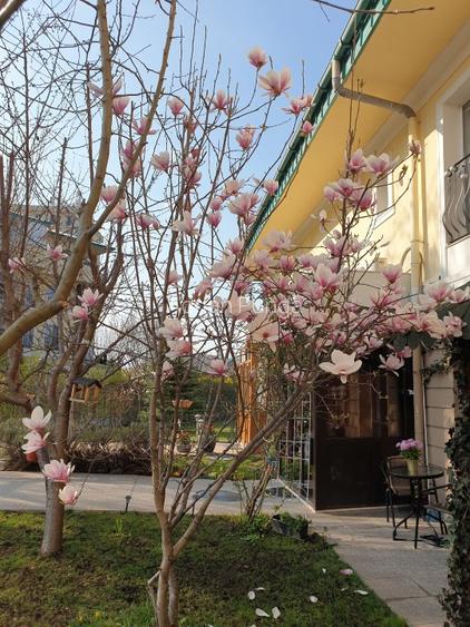 COSMOPOLIS - Vila 4 camere - 16