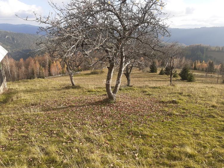 Vind casă și teren în satul Costești, comuna Albac județul Alba   - 10