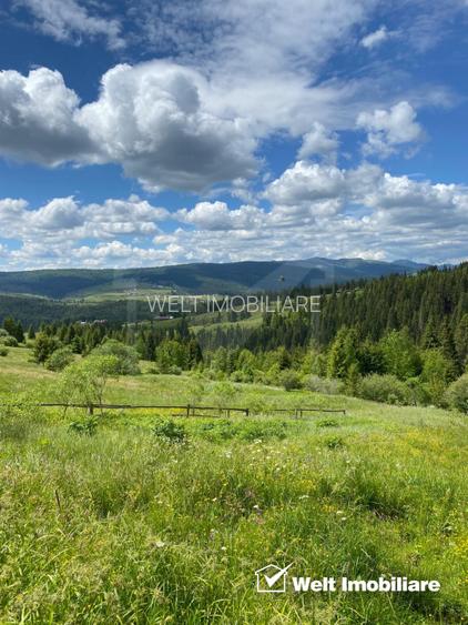 Oportunitate.Teren de vanzare la munte-BELIS - 2