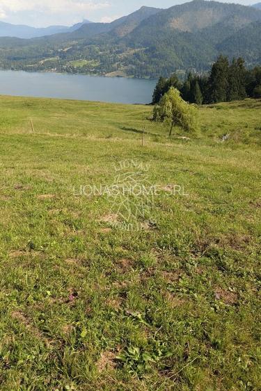 Oportunitate!Teren intravilan 61.38400mp-Parcelabil-utilitati-Colibita - 5