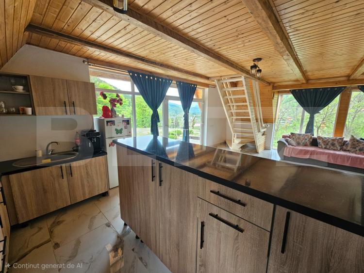 Cabană autentică cu 4565 mp teren, Liniste si Confort, Avram Iancu - 7